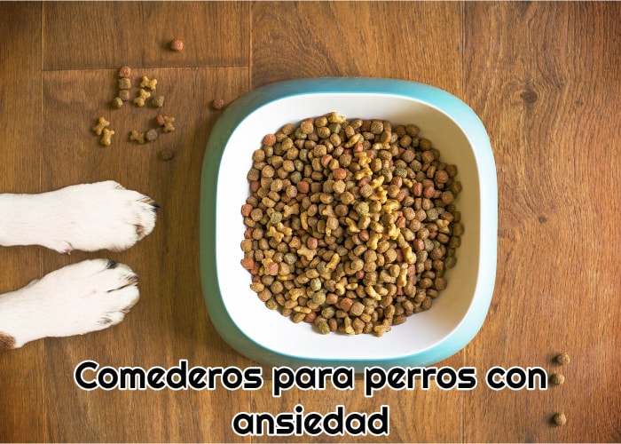 comedero antiestres para perros