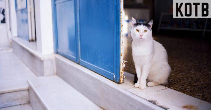 casa rural para animales vacaciones