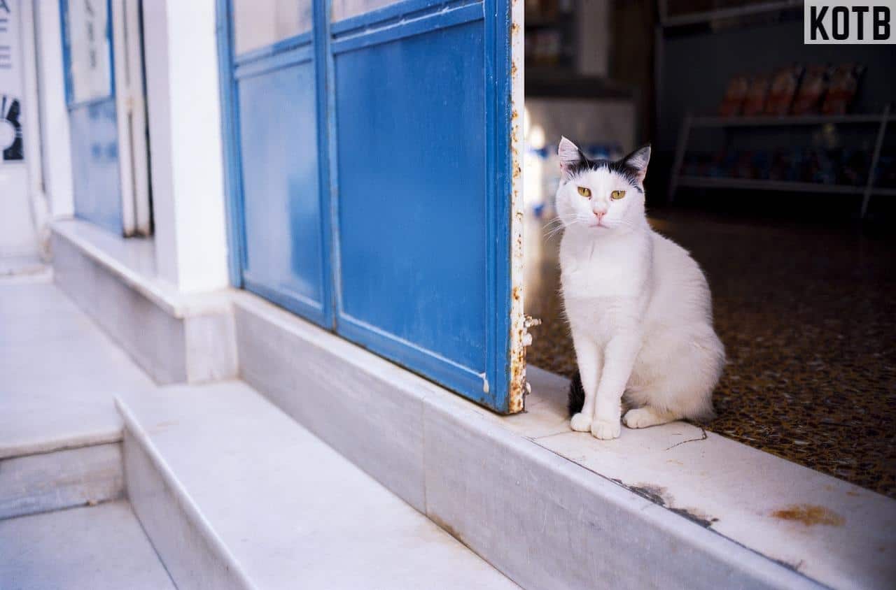 casa rural para animales vacaciones