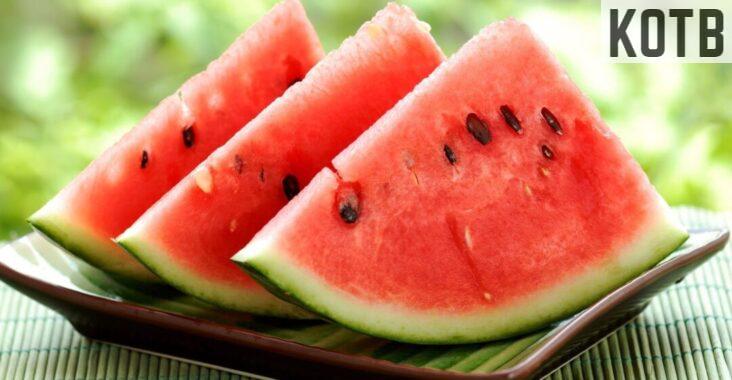 sandia