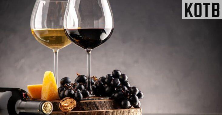 cata vinos